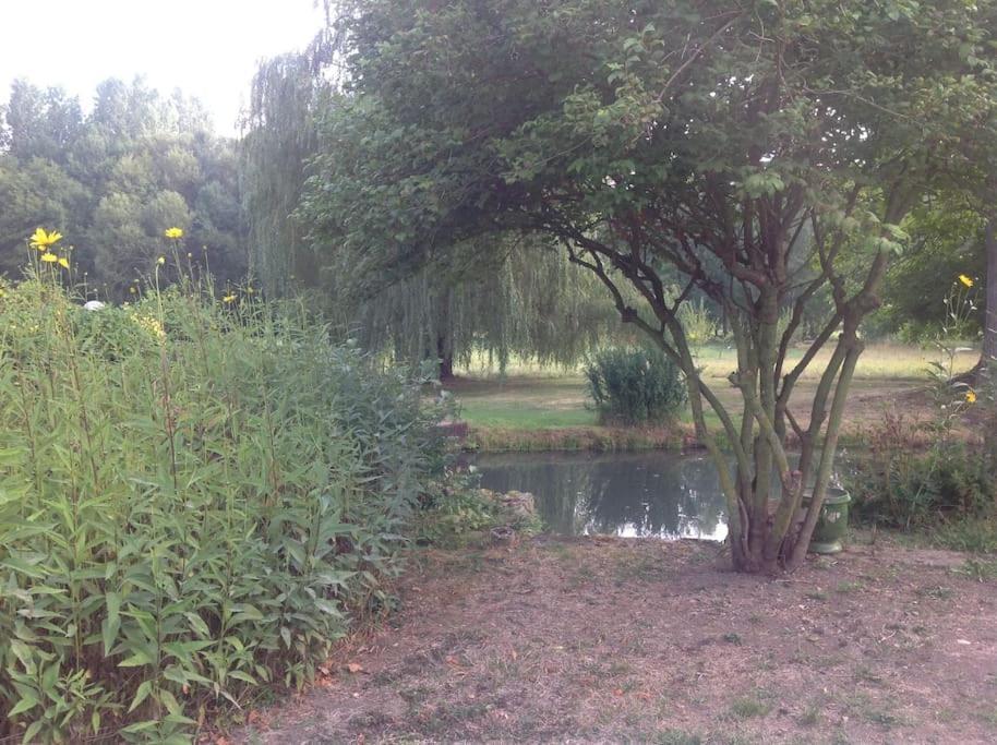 Saint-Hilaire-les-Andresis Le Foulon - Moulin De Charme - 1 Heure 30 De Parisヴィラ エクステリア 写真