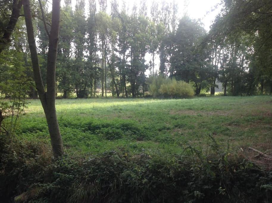 Saint-Hilaire-les-Andresis Le Foulon - Moulin De Charme - 1 Heure 30 De Parisヴィラ エクステリア 写真