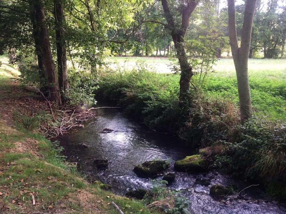 Saint-Hilaire-les-Andresis Le Foulon - Moulin De Charme - 1 Heure 30 De Parisヴィラ エクステリア 写真