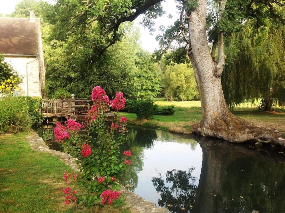 Saint-Hilaire-les-Andresis Le Foulon - Moulin De Charme - 1 Heure 30 De Parisヴィラ エクステリア 写真